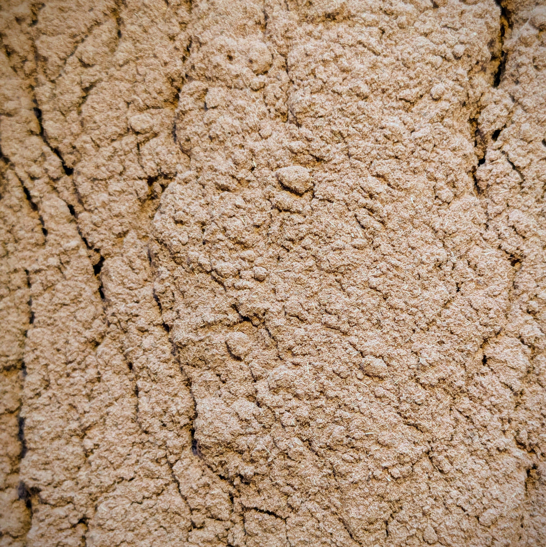 Bobinsana bark