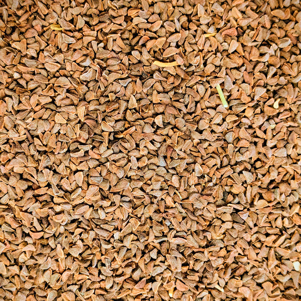 Torkade Peganum Harmala-frön (Syrian rue)