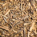 Red Ayahuasca