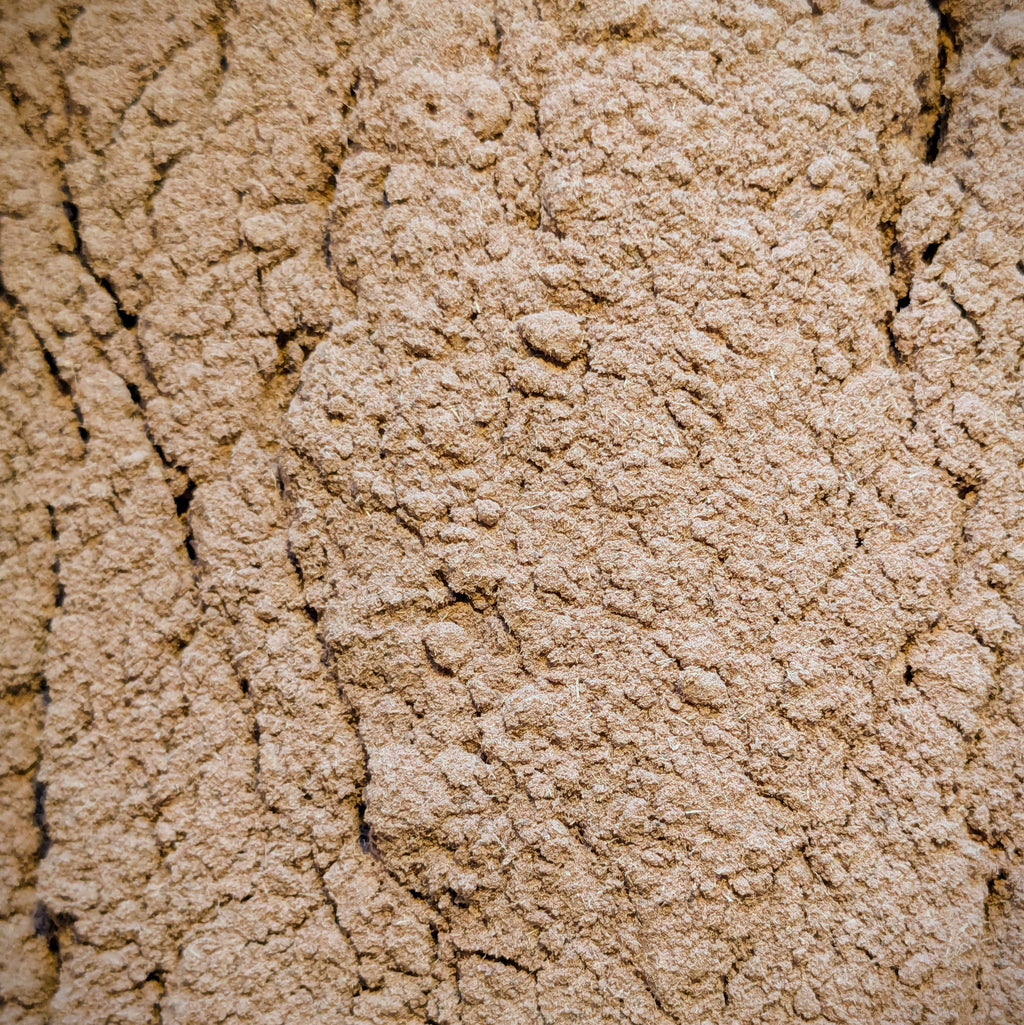 Torkad och finmald Bobinsana-bark (Calliandra angustifolia)